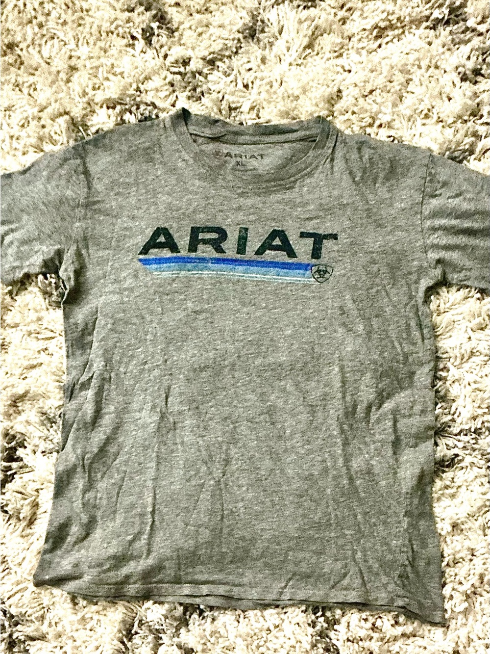 Ariat Boys Gray Logo Graphic T-Shirt (Youth XL)